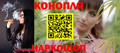 тгк Камышлов